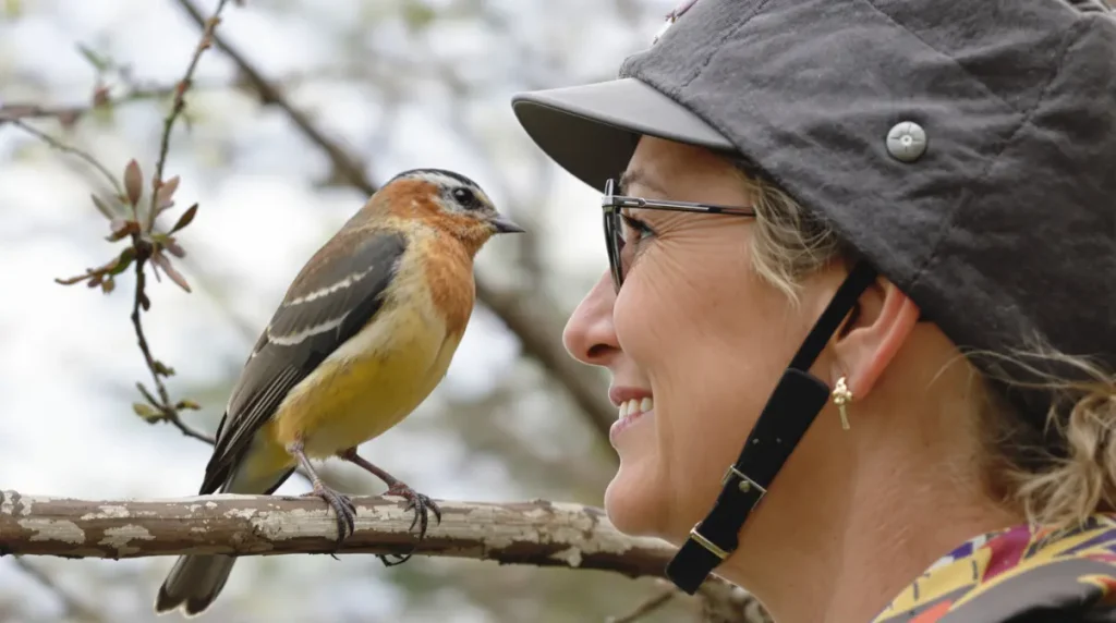 Etre un expert en observation des oiseaux peut booster les capacités cognitives